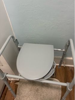 Portable potty