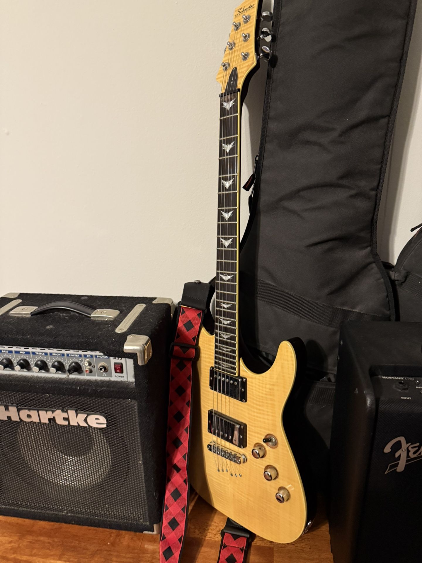Schecter C1 Plus LE 6 String Guitar