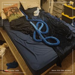 Queen Bed and Boxspring