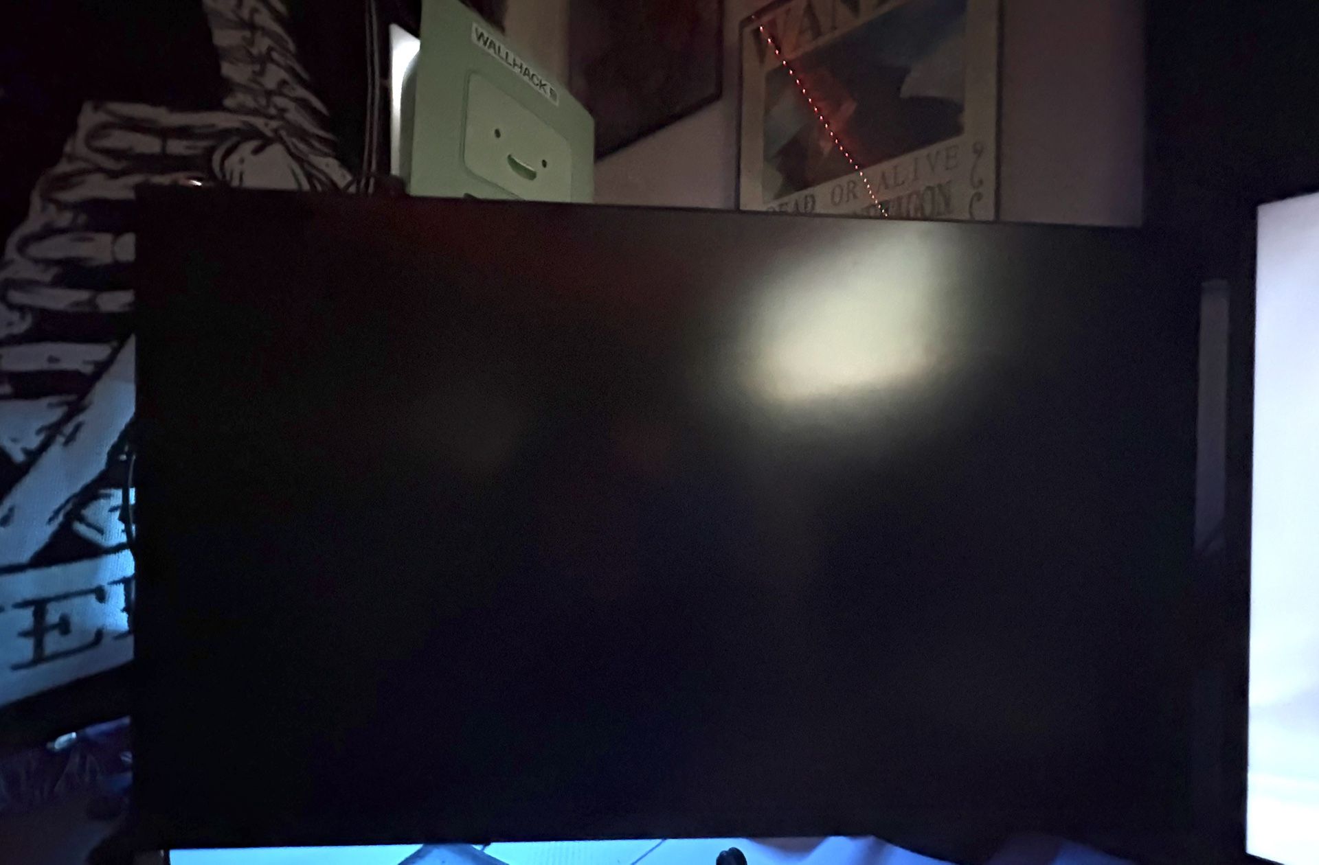120 HZ Monitor