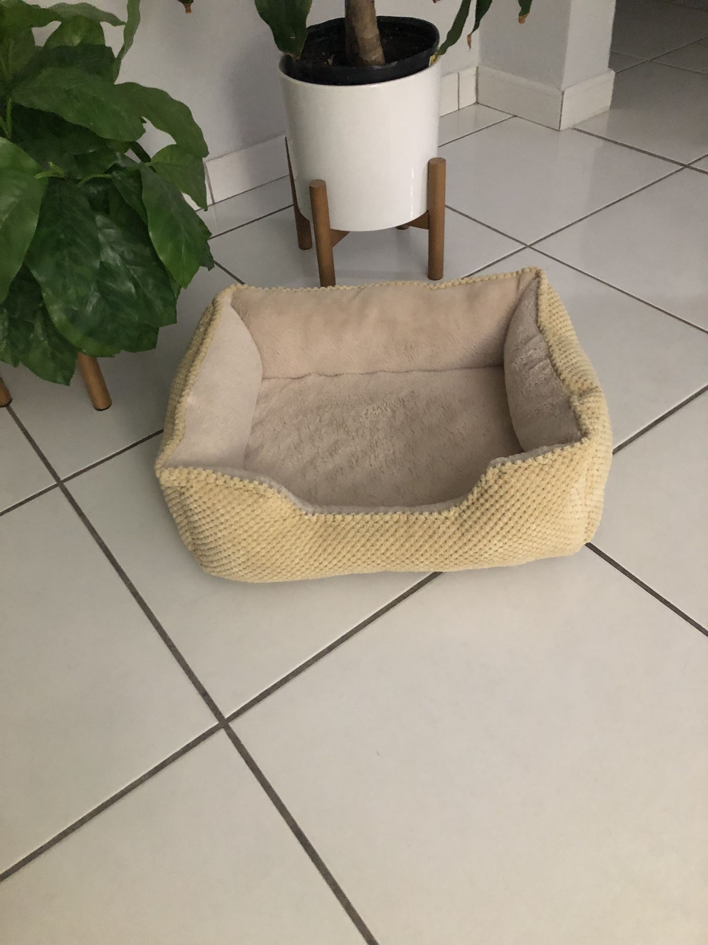 Camita Ropita Cepillos y Ccollares Un Bosal y nailitos 