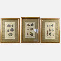 W. King Ambler Old Prints and Maps