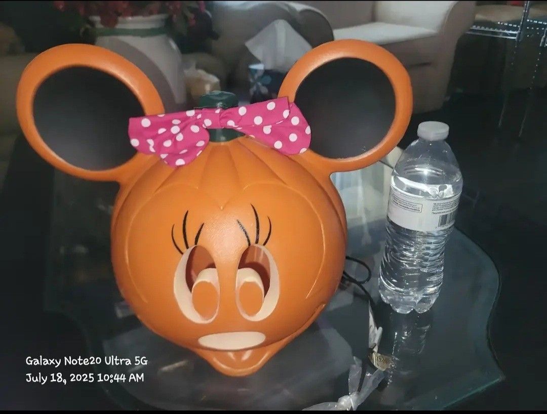 NEW! $5 Each Halloween Minnie Or Mickey Mouse Pumpkin Lantern. Pick up in Garland 75042 by appointmentà