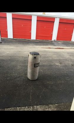 EverlastPunching Bag