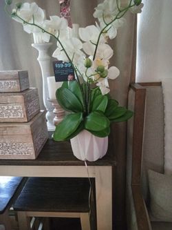 🌹🌹🌹 Flowers So Pretty ❤️