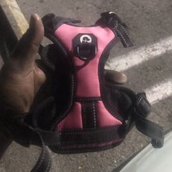 Benji&me Tm Dog Strap  Small Dog 