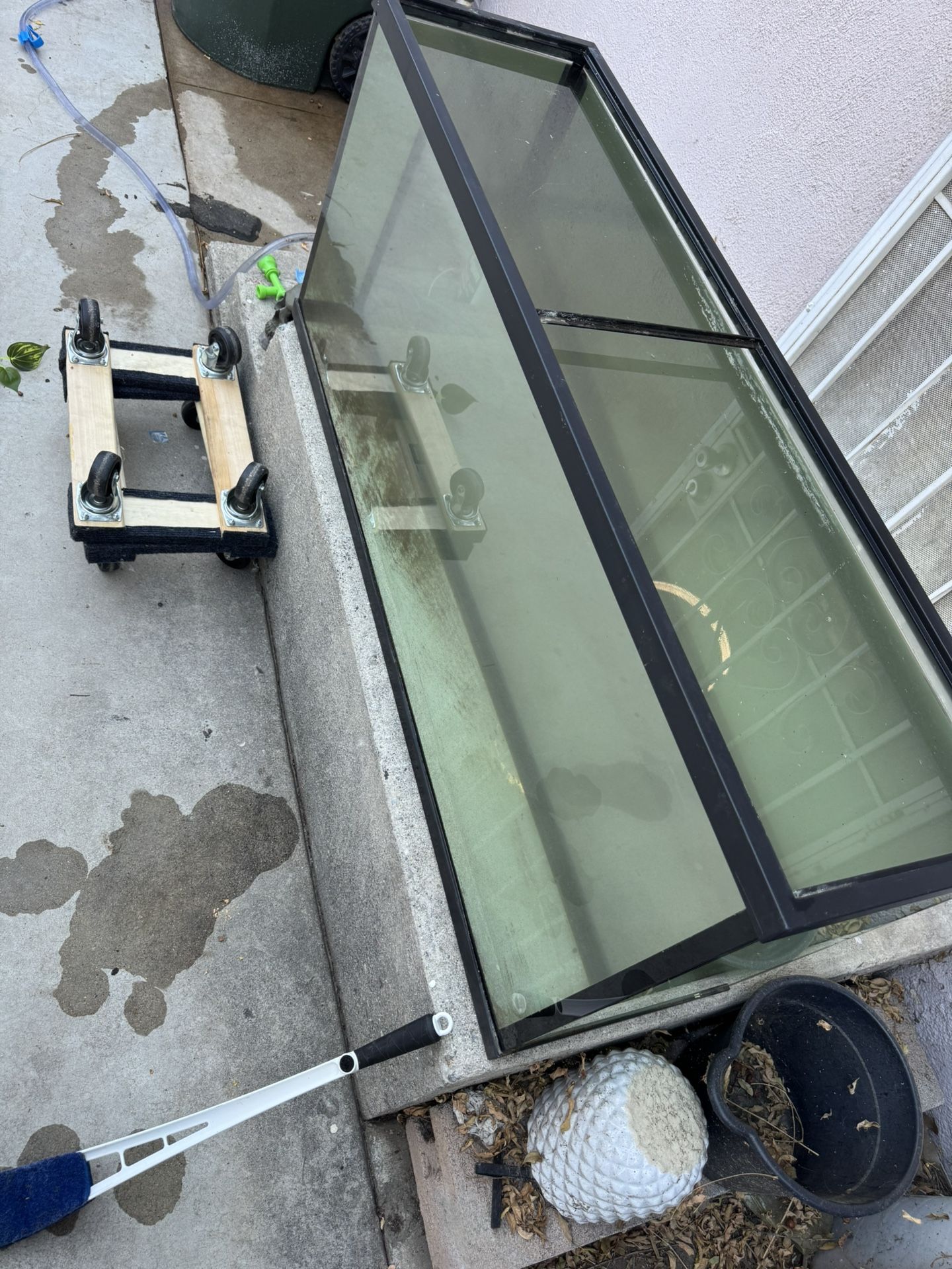 55 Gallon Fish Tank