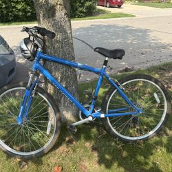 Next Mountain Bike + Helmet