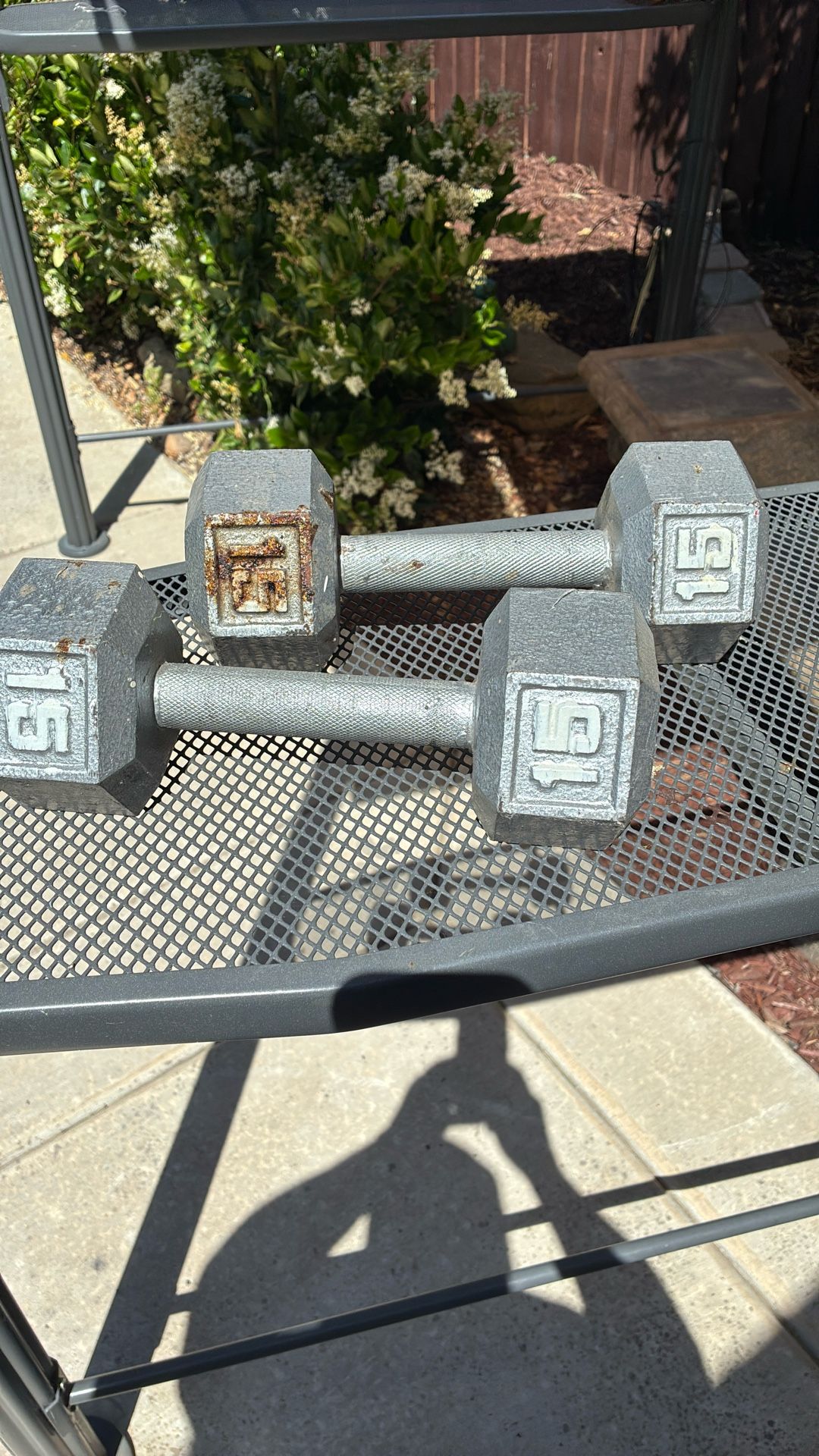 15 Pound Weight