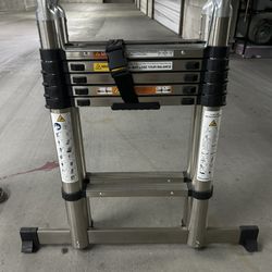 Telescoping Ladder