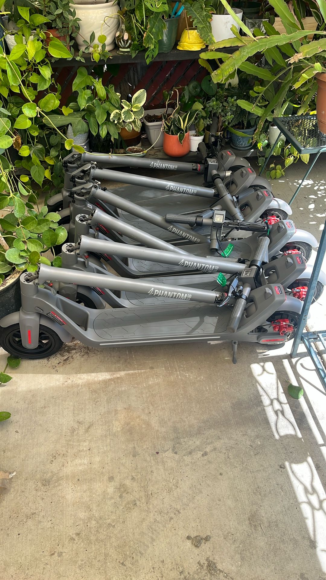 Electric Scooter Phantom Go 