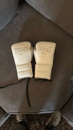 Everlast Powerlock 2 14oz