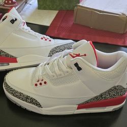 Hall Of Fame Air Jordan And Also Cool Grey Air Jordan 3 Size 10
