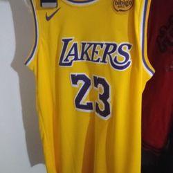 Lebron James Jersy