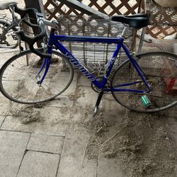 Specialized Allez E5 Road Bike