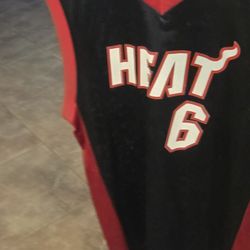 LeBron James NBA Jersey ,New