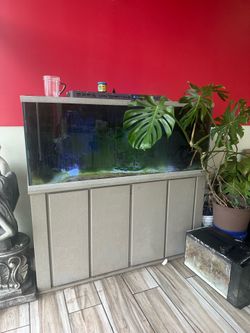 110 Gallon Tank