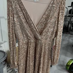 Women’s Sparkly Dress 