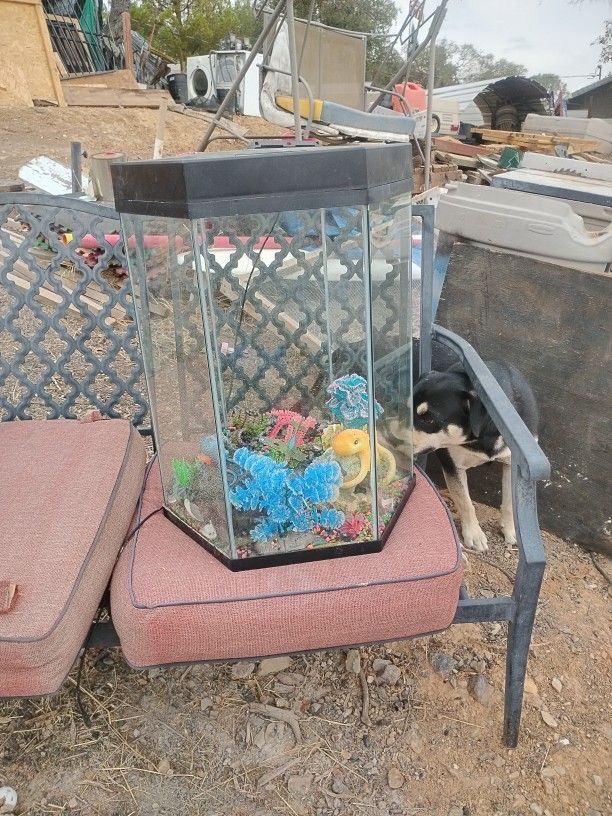 35 gallon aquarium