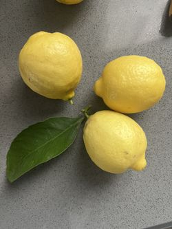 Lemons 8 For $2 