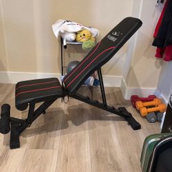 FLYBIRD Adjustable Workout Bench