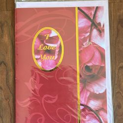 Giant Valentine’s Day Cards 11” x 8” – New w/ Envelopes