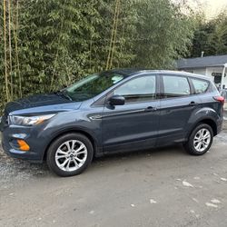 2019 Ford Escape
