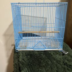 Bird Cage 