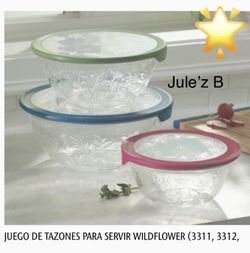 Princess House Juego De 3 Recipientes Nuevos En Sus Cajas