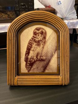 Authentic Vintage 12.5”x10.5” Framed Owl Illustration by R.(Robert)White