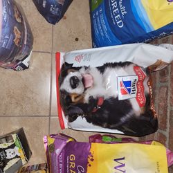 Science Diet For Large Breeds 30lb