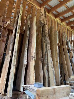 Live edge natural edge slabs. 100’s to choose from