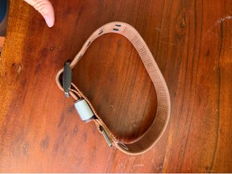 carhart dog collar