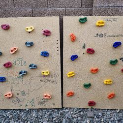 Rock Climbing Board (4'x4' - 2 Pieces)