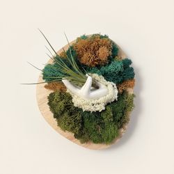 Moss and air plant wall appliance with led