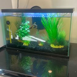Fish Tank