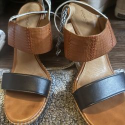 Coach Shoes
