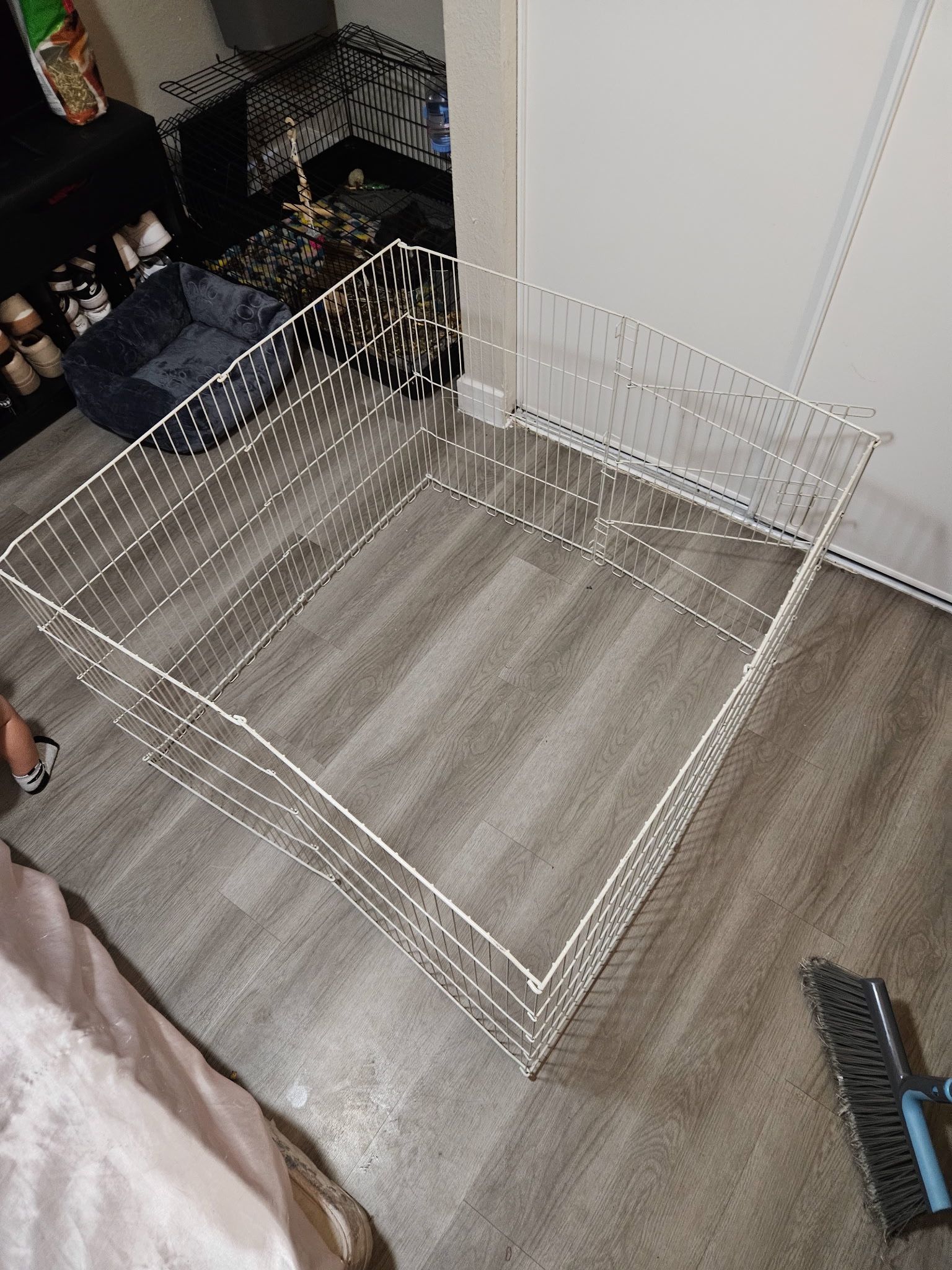 guinea pig cages 