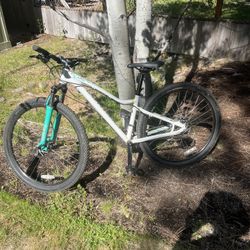 Specialized Jyn 2015 S (mountain Bike)