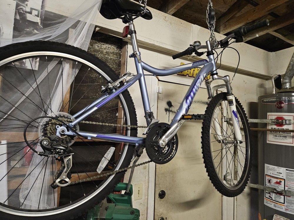 Schwinn Women's Mountain Bike
