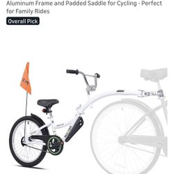 Used Weeride Copilot