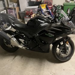 2024 Kawasaki Ninja 500 