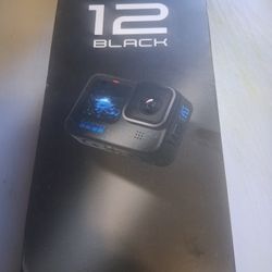 Go Pro 12 Black 