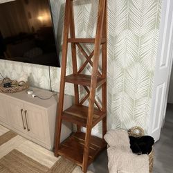 Ladder Book Shelf (MUST GO)