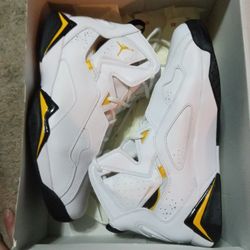 Air Jordan True Flight