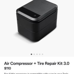 Air Compressor + Tire Repair Kit