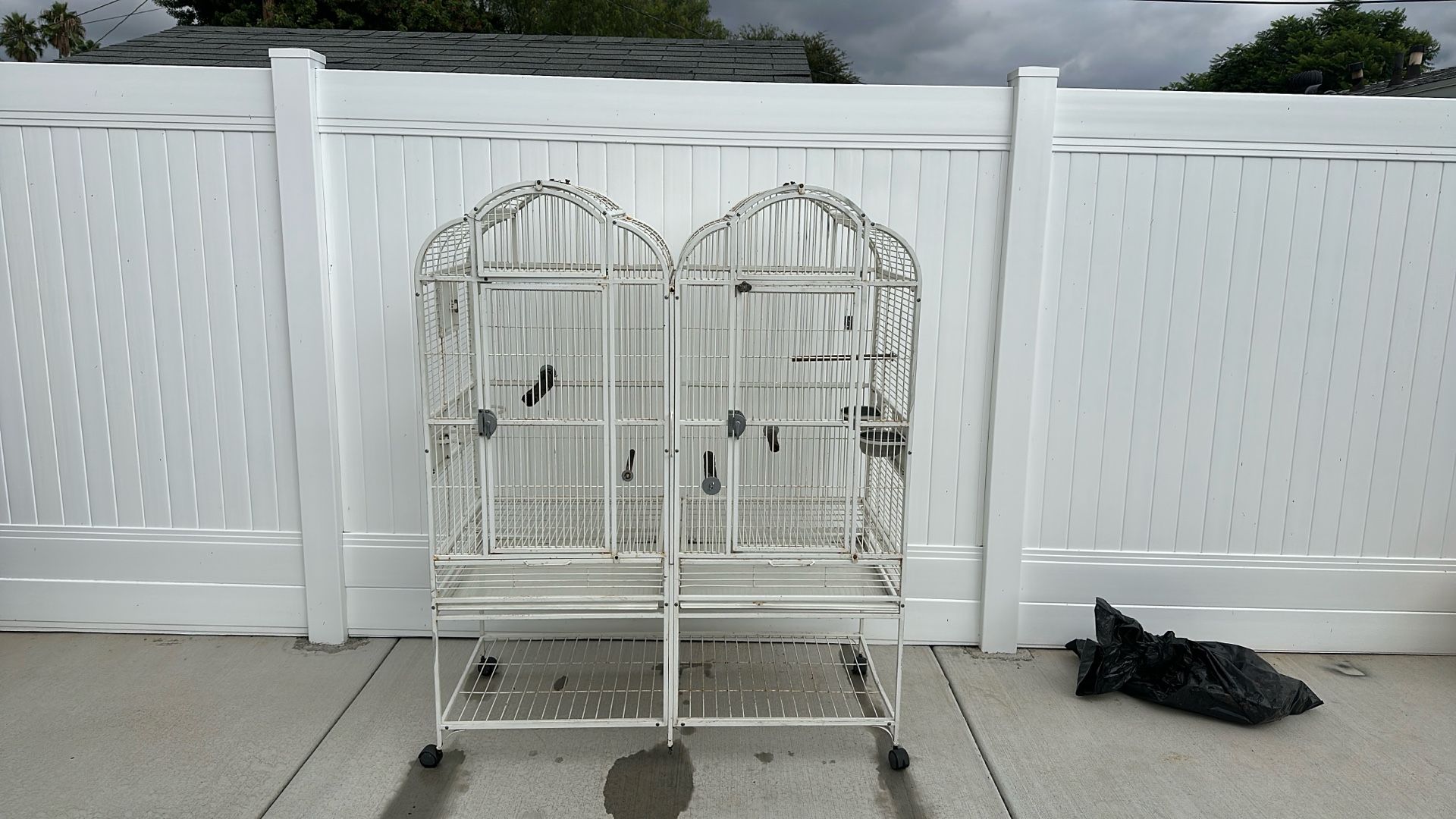 Bird Cage