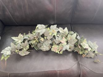 Home interior Artificial Ivy