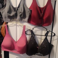 Lane BRYANT 