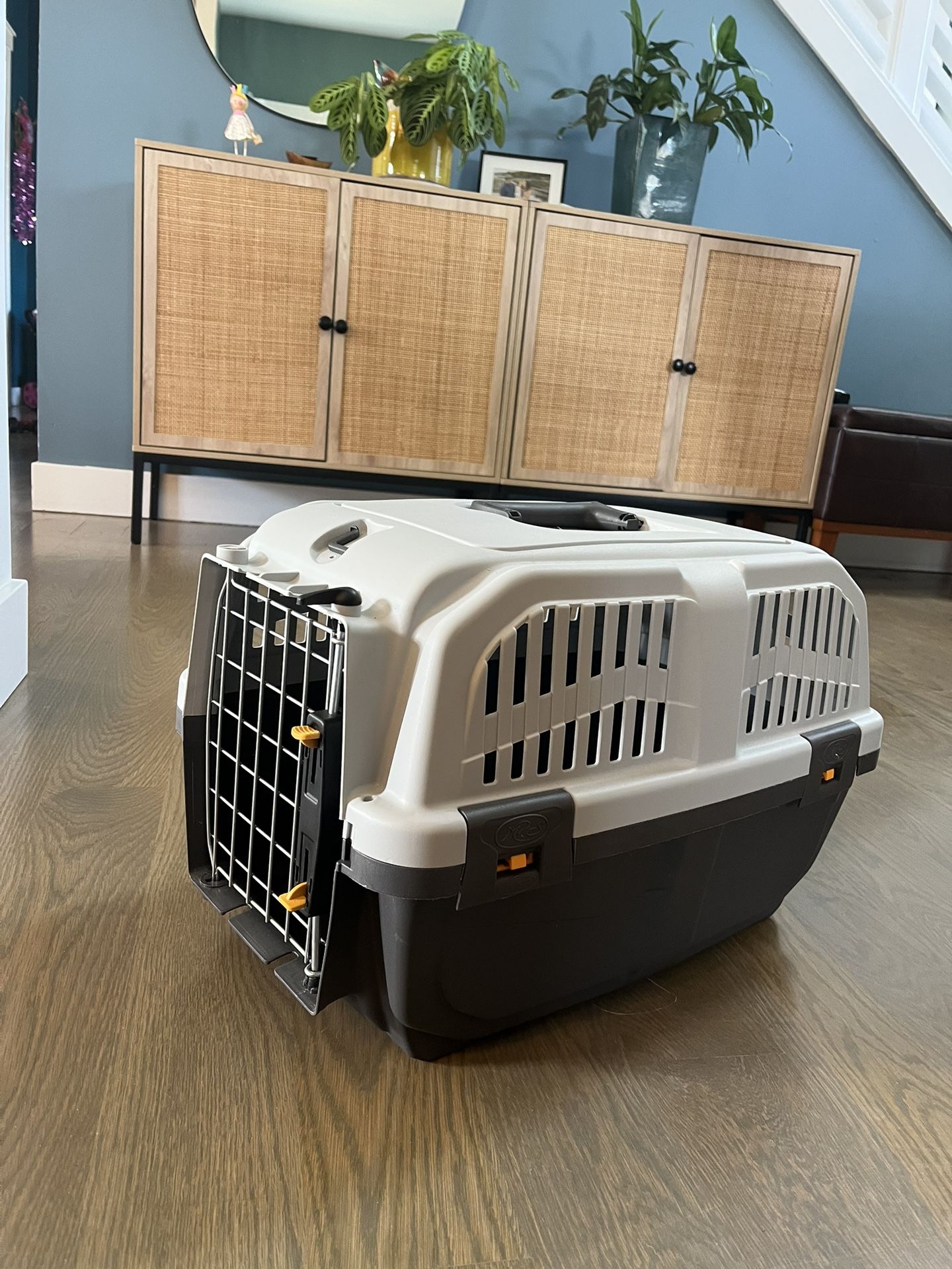 Small Dog Carrier